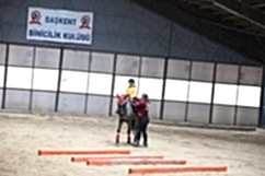 STAA6475.jpg