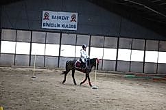 STAA6564.jpg
